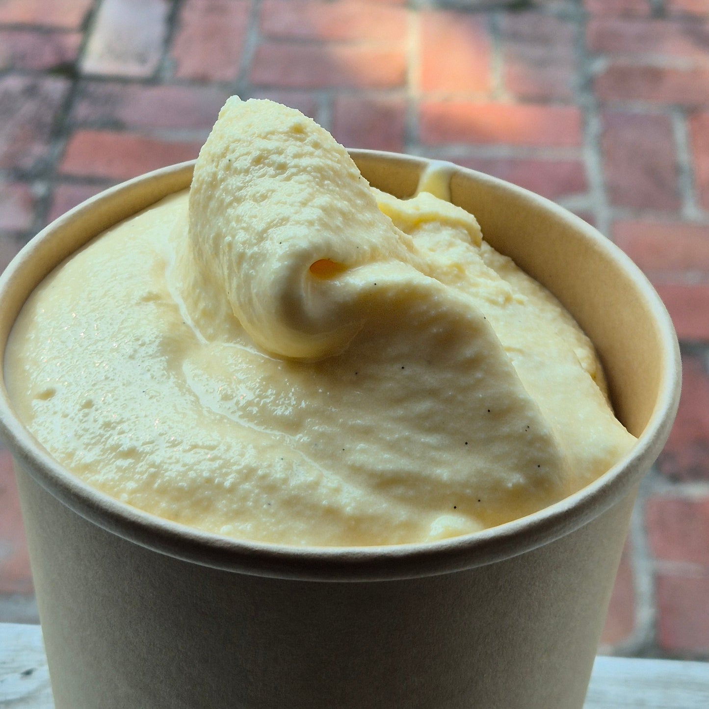 Vanilla Ice Cream Pint
